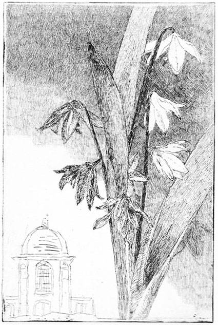 Radierung - Frank Reimann